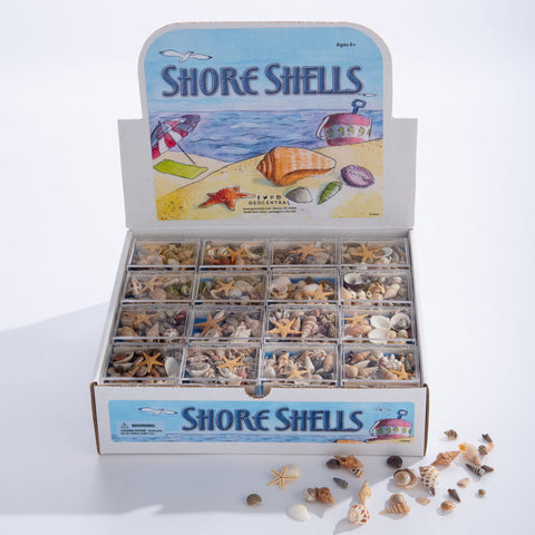 Shore Shells - Ages 6+