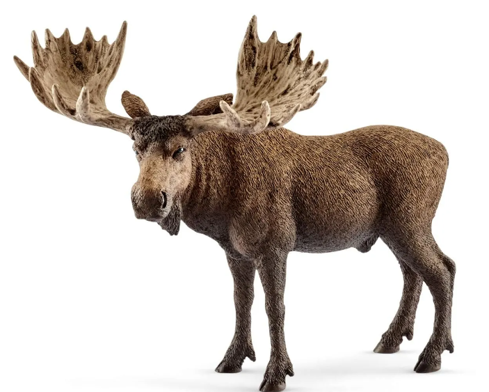Schleich: Moose Bull - Ages 3+