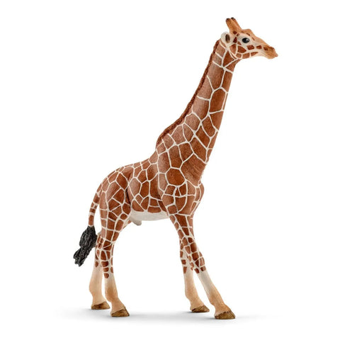 Schleich: Giraffe, Male - Ages 3+