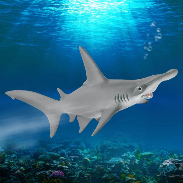 Schleich: Hammerhead Shark - Ages 3+