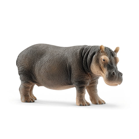 Schleich: Hippopotamus - Ages 3+