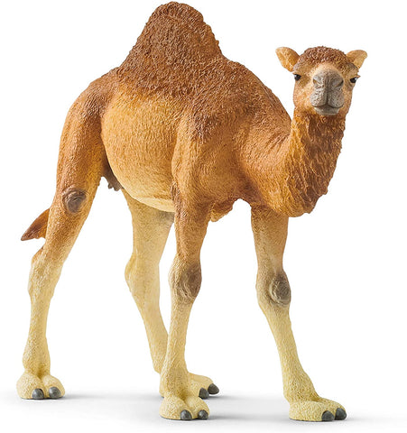 Schleich: Dromedary (One-Hump Camel) - Ages 3+