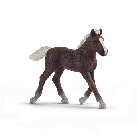 Schleich: Black Forest Foal - Ages 3+