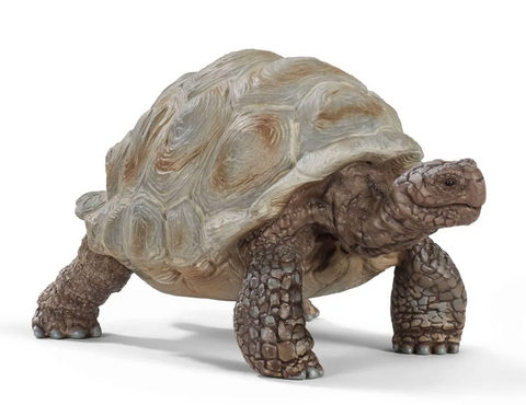 Schleich: Giant Tortoise - Ages 3+