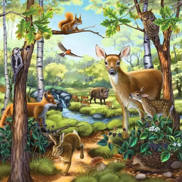 49 Piece Puzzle: 3 x 49 / Forest/Zoo/Domestic Animals - Ages 5+
