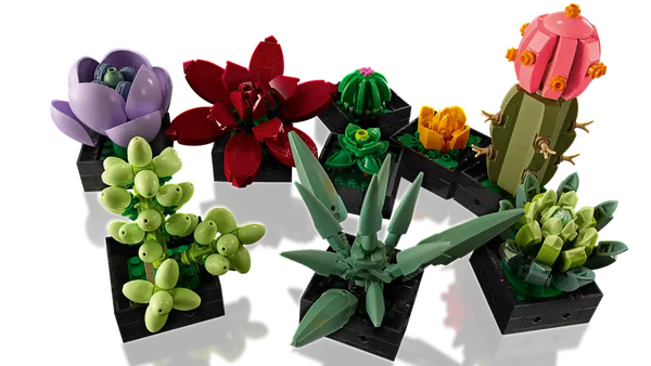 Lego: Succulents - Ages 18+