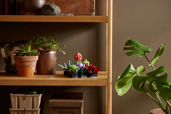 Lego: Succulents - Ages 18+