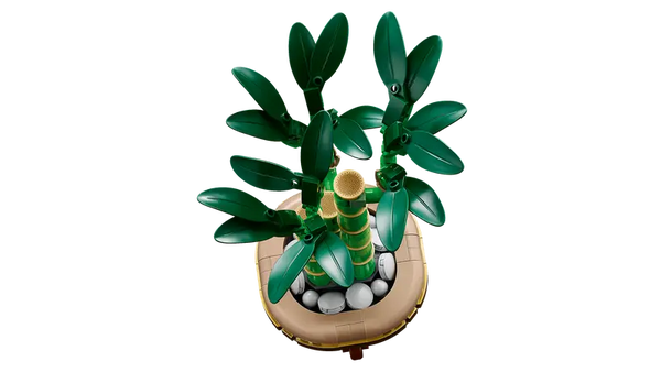 Lego Botanicals Lucky Bamboo