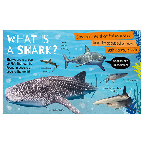My Awesome Sharks Book - Ages 3+