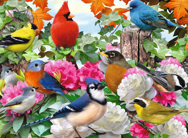 500 pc puzzle: Garden Birds - 8+