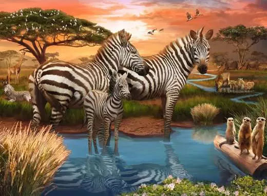 500 Piece Puzzle: Zebras At The Waterhole - Ages 12+
