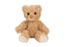 Douglas Arthur the Small Teddy Bear