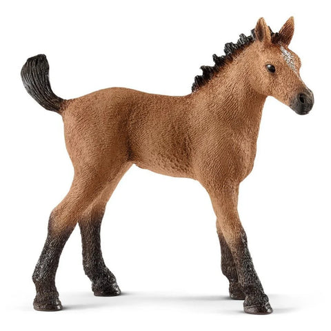 Schleich: Quarter Horse Foal - Ages 3+