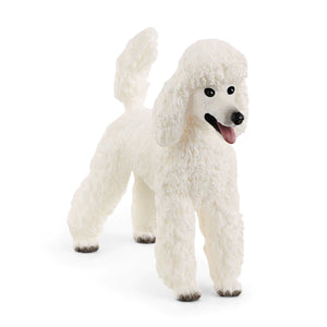 Schleich: Poodle - Ages 3+