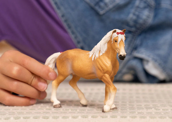 Schleich: Haflinger Foal - Ages 3+