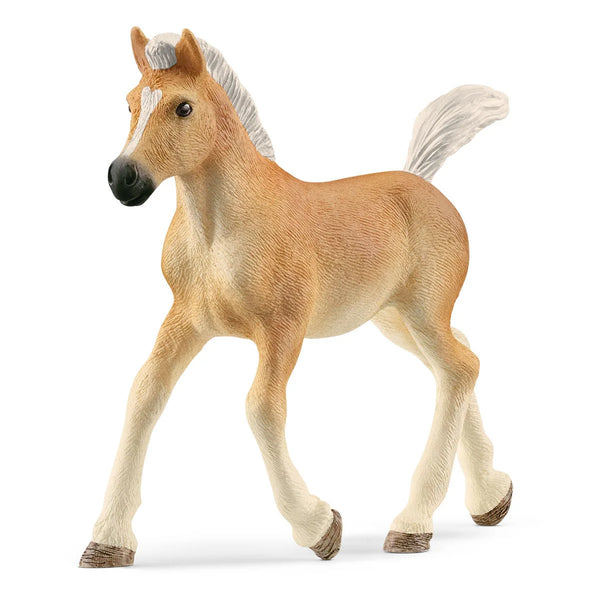 Schleich: Haflinger Foal - Ages 3+