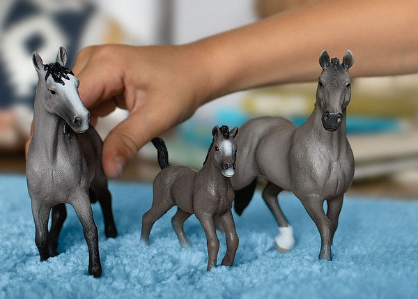 Schleich: Selle Francais Foal - Ages 3+