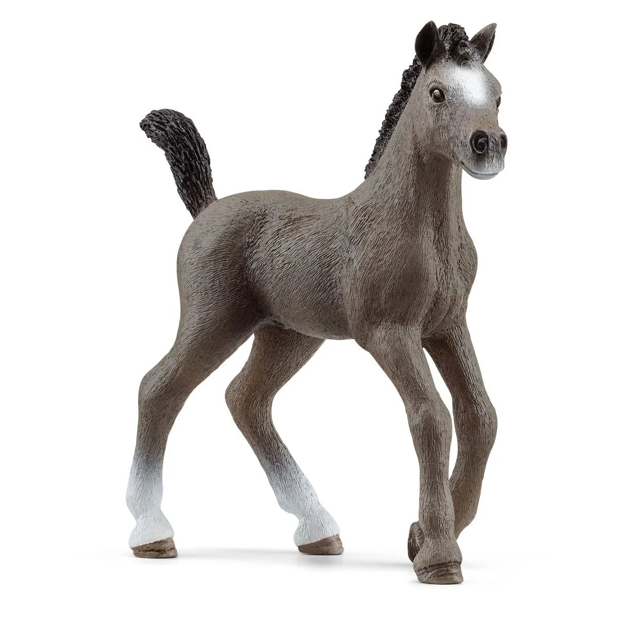 Schleich: Selle Francais Foal - Ages 3+