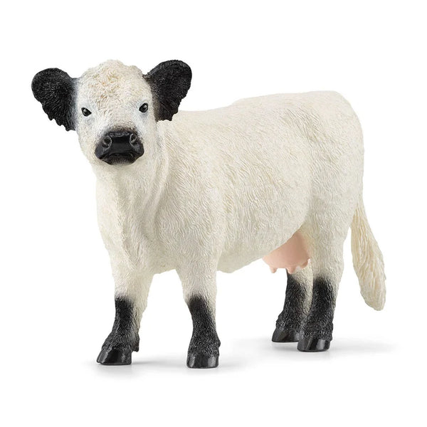 Schleich: Galloway Cow