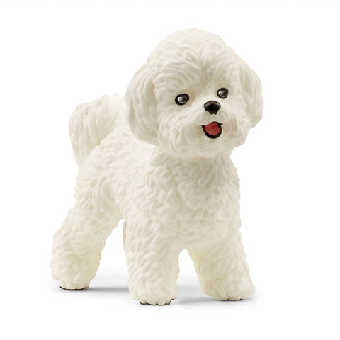 Schleich: Bichon Frise - Ages 3+