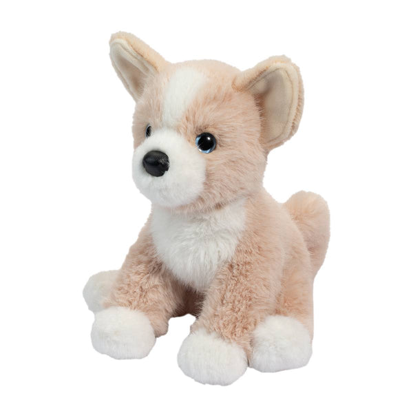 Douglas Pookie Pomsky