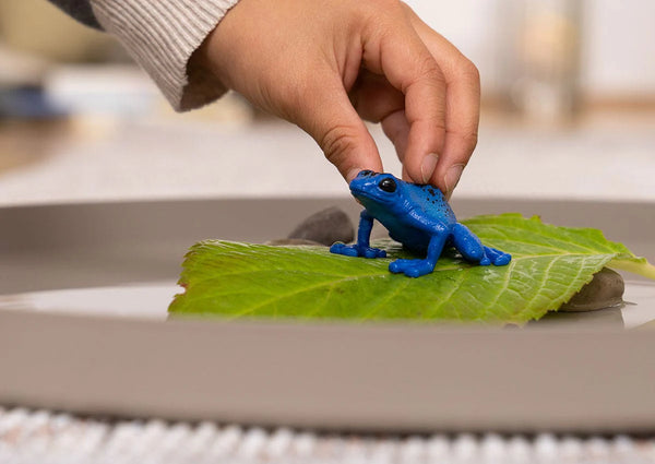 Schleich: Poison Dart Frog - Ages 3+