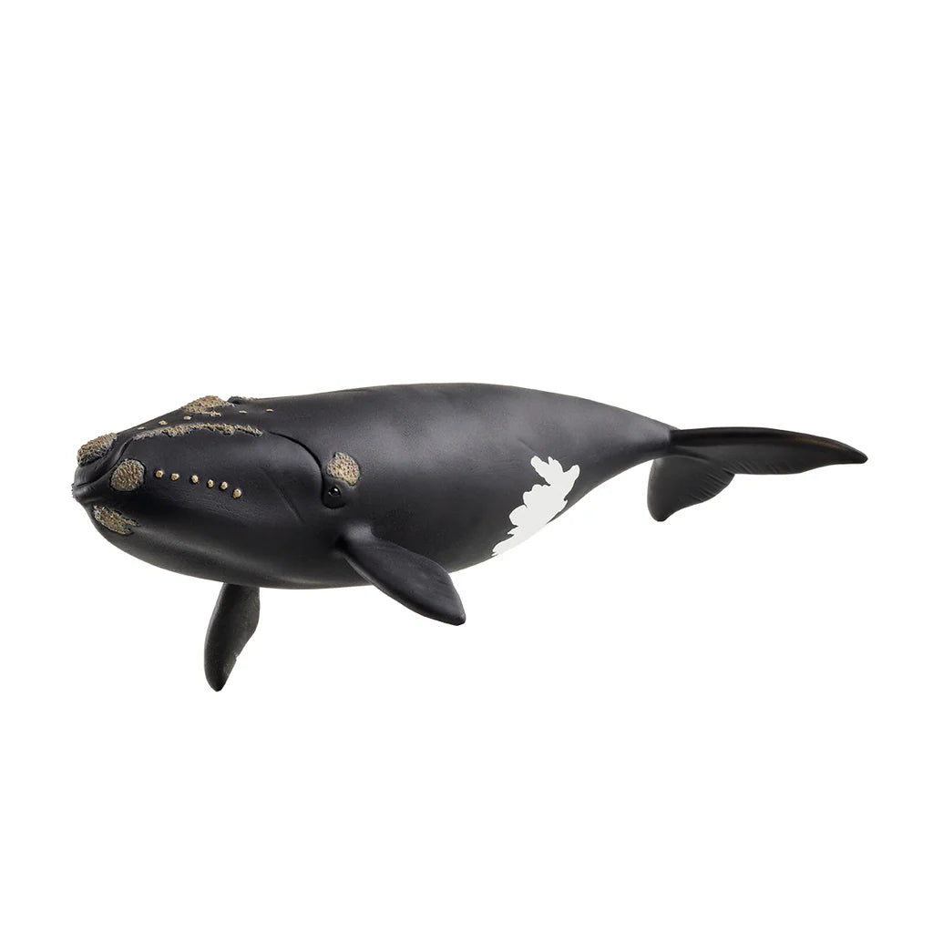 Schleich: North Atlantic Right Whale - Ages 3+