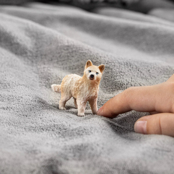 Schleich: Arctic Wolf Cub - Ages 3+