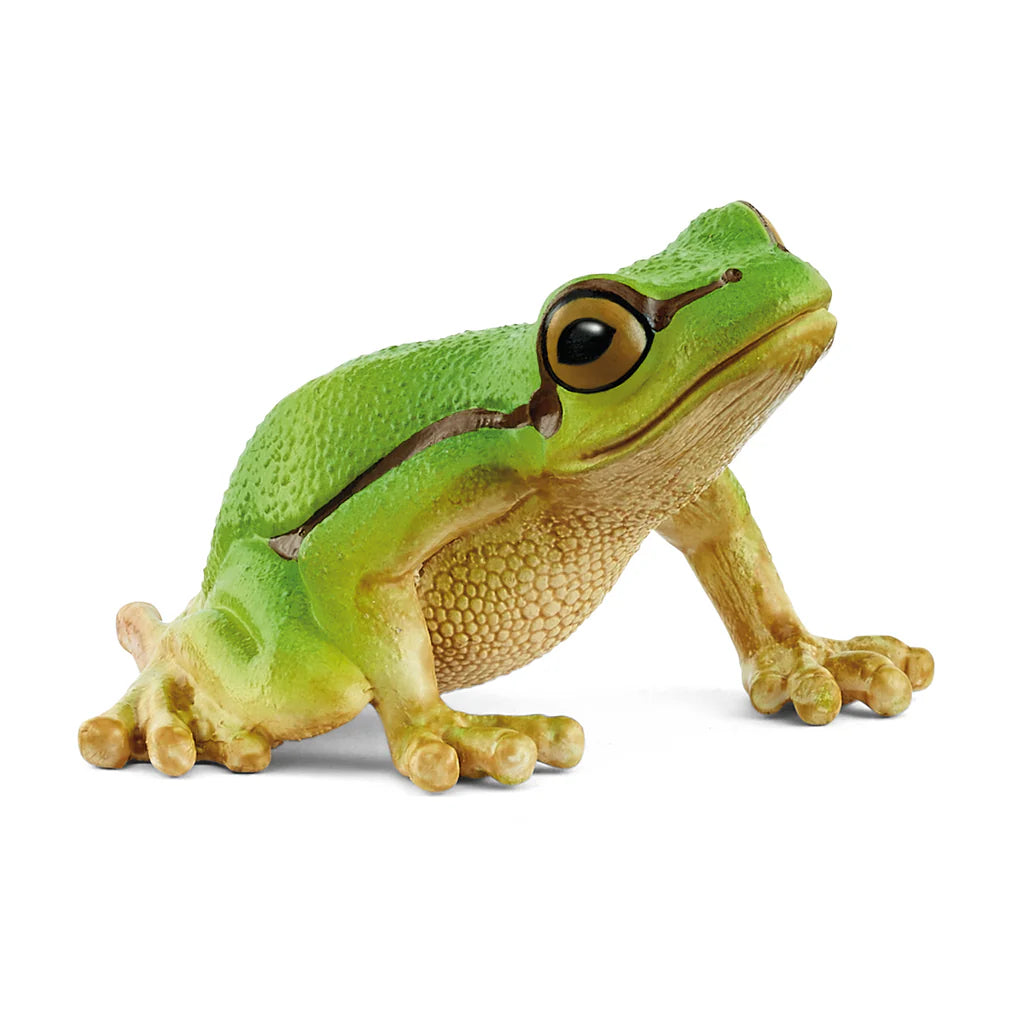 Schleich: European Tree Frog- Age 3+
