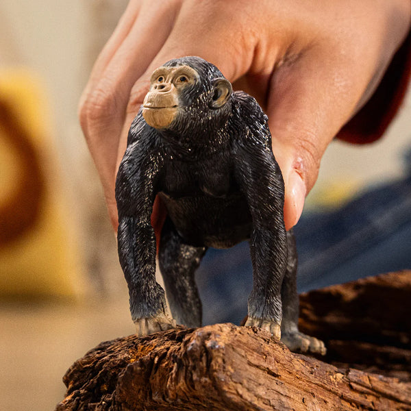 Schleich: Chimpanzee - Ages 3+