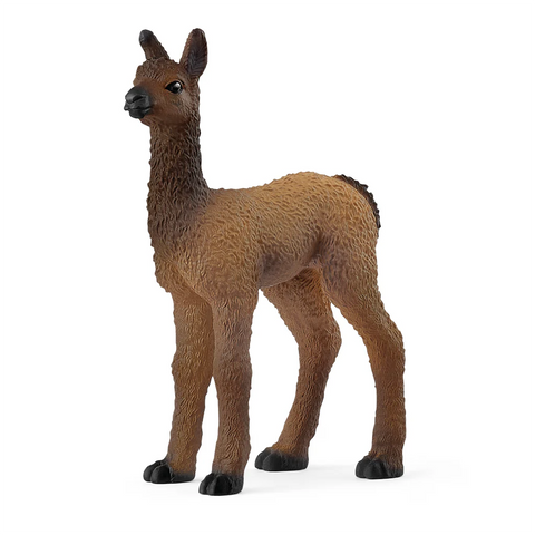 Schleich: Llama Foal - Ages 3+