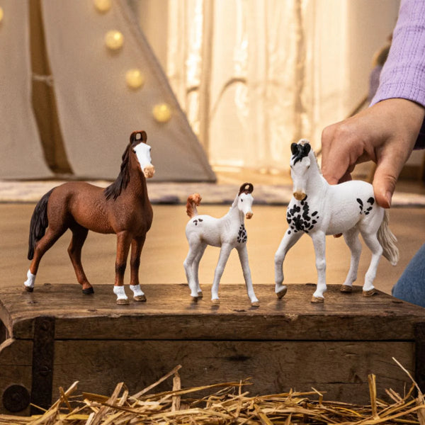 Schleich: Marwari Mare - Ages 3+