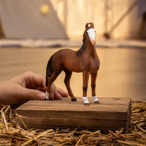 Schleich: Marwari Mare - Ages 3+