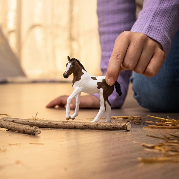 Schleich: Paint Horse Foal - Ages 3+
