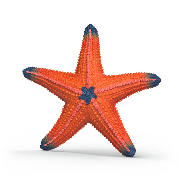 Schleich: Colour Changing Starfish - Ages 3+