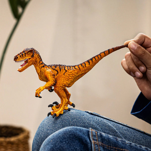 Schleich: Velociraptor - Ages 4+