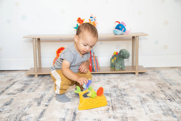 Manhattan Toys: Magnetic Matchers - Branch Buddies - 6mths