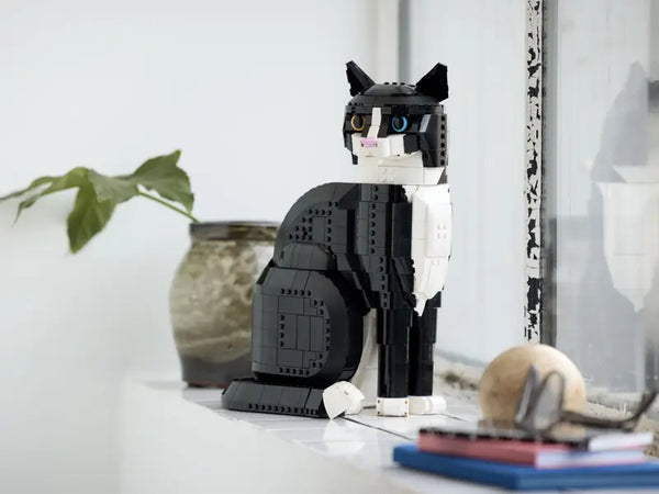Ideas: Tuxedo Cat - Ages 18+