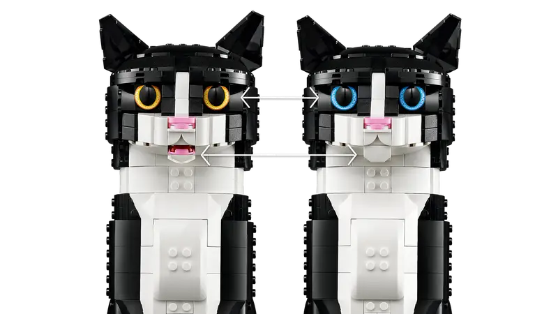 Ideas: Tuxedo Cat - Ages 18+ – Playful Minds