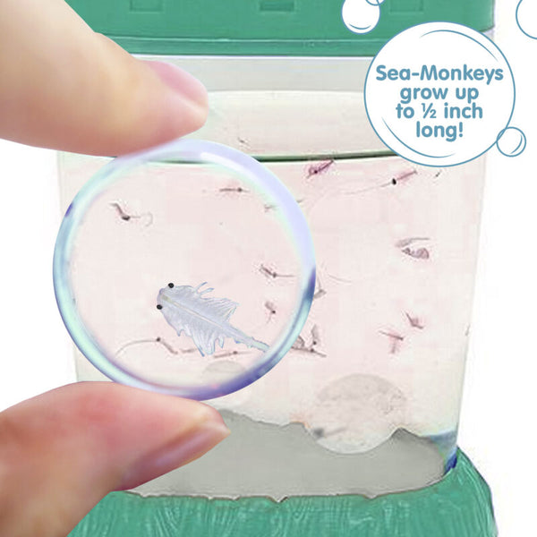 SCHY: Sea Monkey Ocean Zoo - Ages 6+