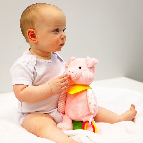 Baby Made:  Soft plush pig baby Activity toy - Ages 0+