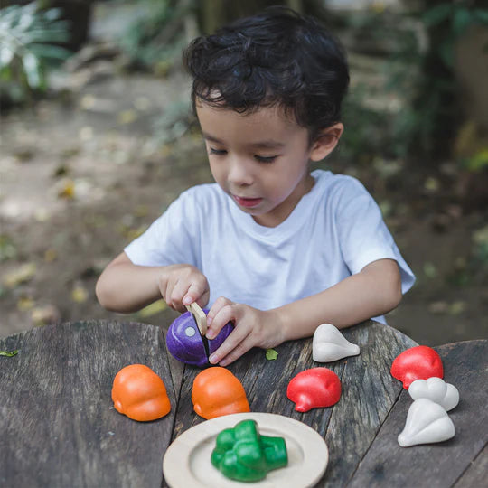 Plan: 5 Colour Veggie Set - Ages 18mths+
