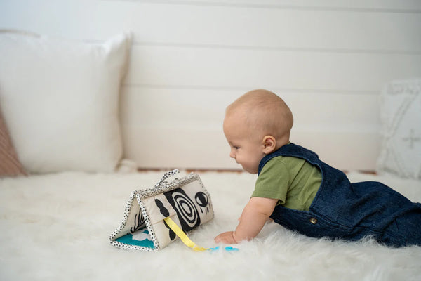 Manhattan Toys: Wimmer 3 - in-1 Play Mat - Age 0+
