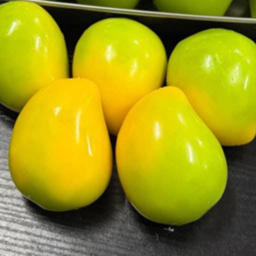 Crunch Squishy Magic Color Mango