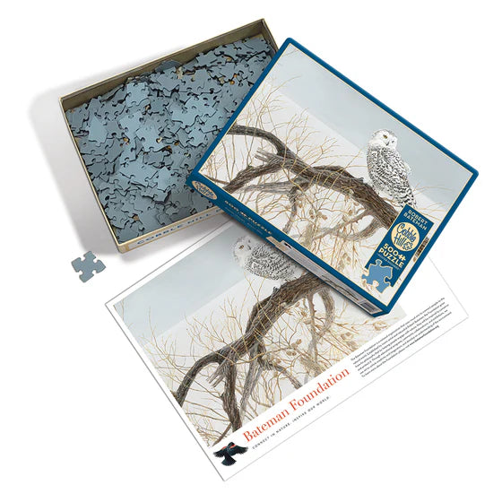 500 Piece Puzzle: Fallen Willow - Snowy Owl - Ages 10+