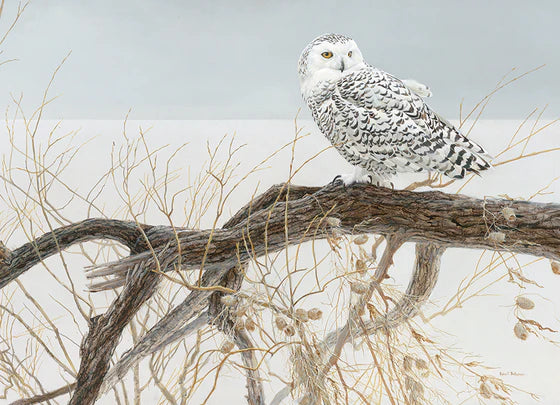500 Piece Puzzle: Fallen Willow - Snowy Owl - Ages 10+