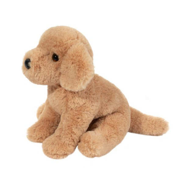 Douglas Goldie the Soft Golden Retriever