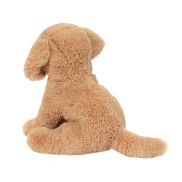 Douglas Goldie the Soft Golden Retriever