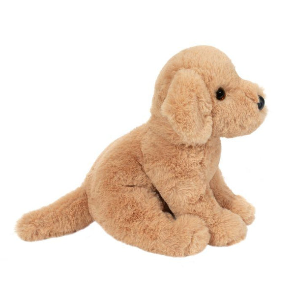Douglas Goldie the Soft Golden Retriever