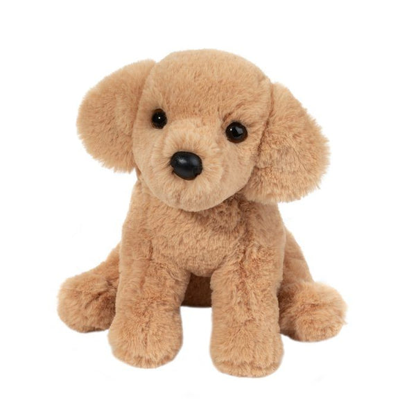 Douglas Goldie the Soft Golden Retriever